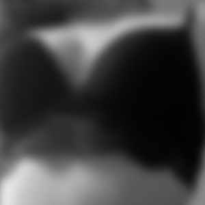 rencontre-Cougar-Grenoble