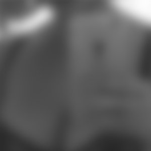 rencontre-Cougar-Saint-Étienne